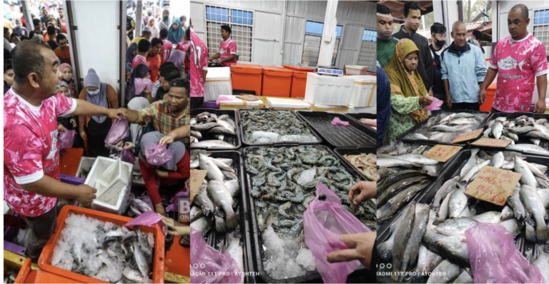 Berita Heboh: Ikan Siakap Laku Gila, Harga Serendah 90 Sen!